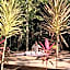 Maya Eco Village