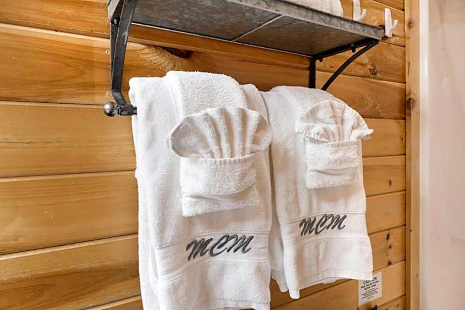 Ryes and Shine Bootlegger's Cabin! Hot Tub* Pool* Arcade* Billiards *EV * Pet Friendly