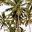 Jungle House - surf & stay