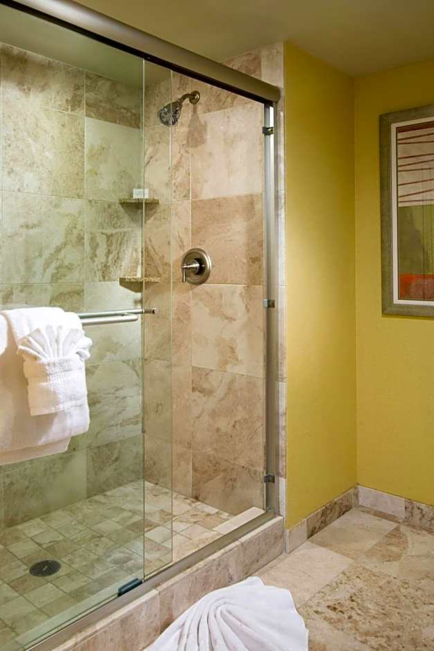 Residence Inn by Marriott St. Petersburg Treasure Island