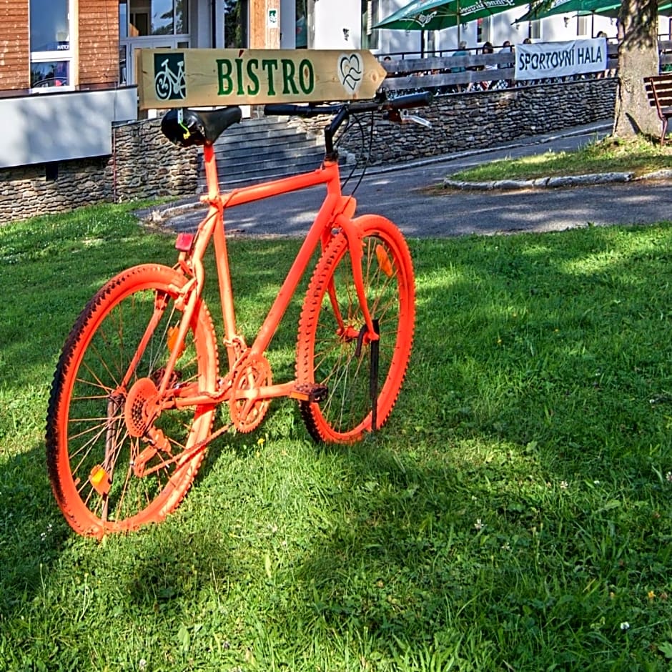 Hotel Srní depandance - Šumava
