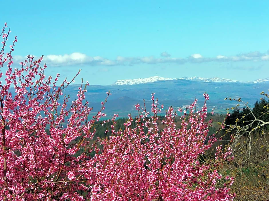 Le Vallon d'Armandine, gîte écologique Auvergne