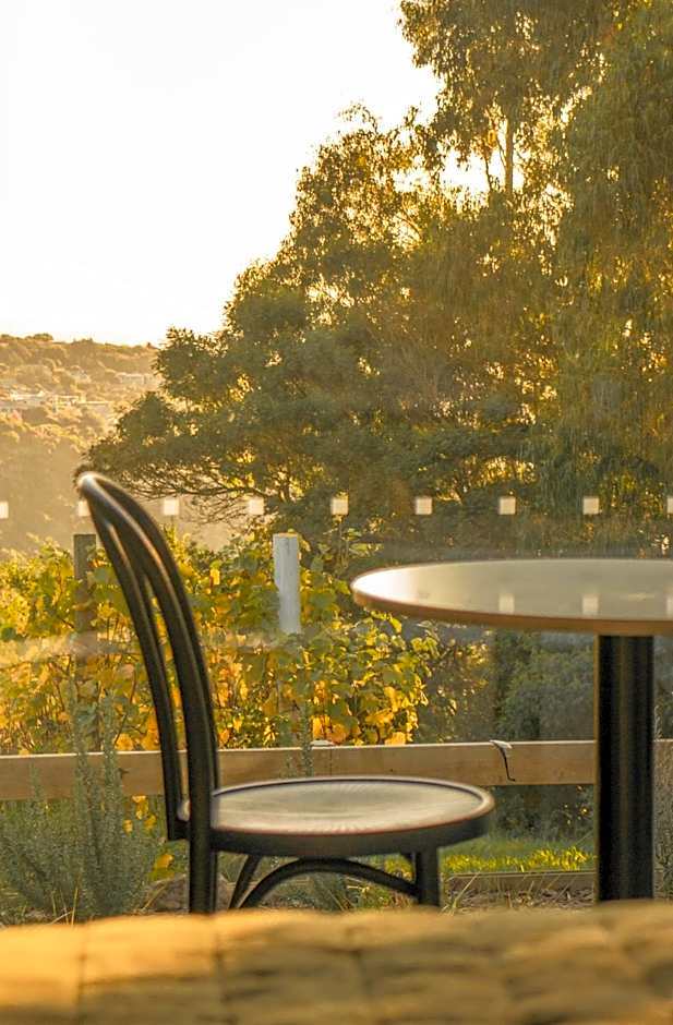 Tussock Hill Vineyard Retreats