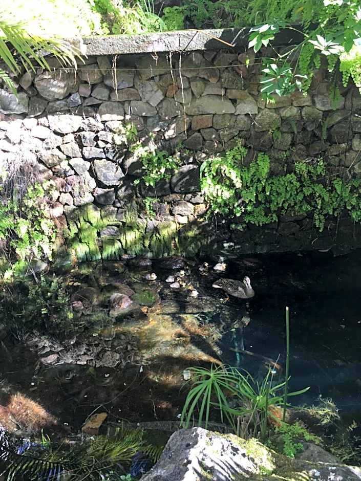 Copacabana Apartments