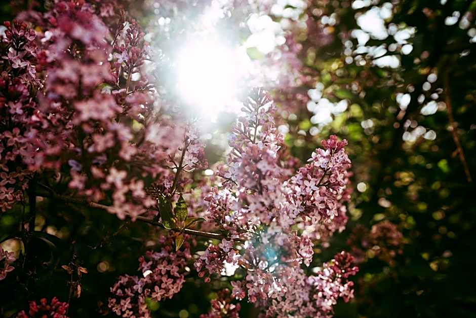 Goldsmith's River Front Inn