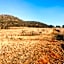 Kloofzicht Lodge & Spa