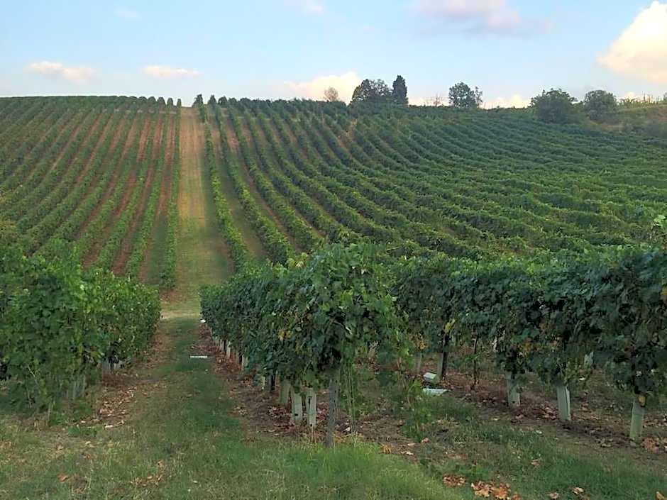 Agriturismo Borgo delle Vigne