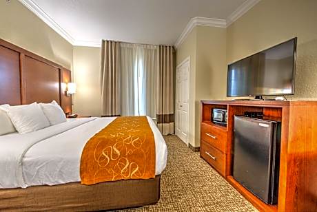 1 King Bed, Suite, Nonsmoking, Accessible