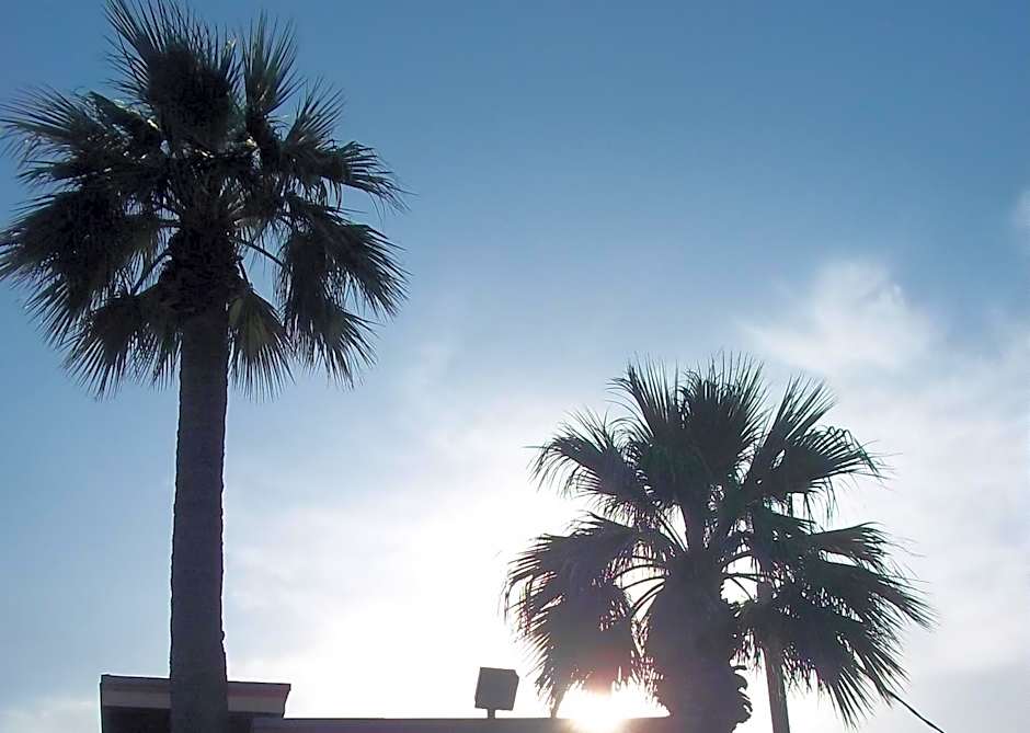 Whispering Palms Inn