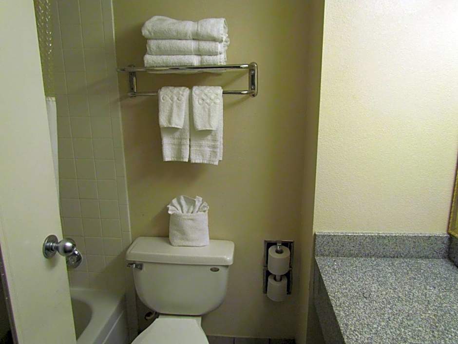Romana Hotel - Houston Southwest