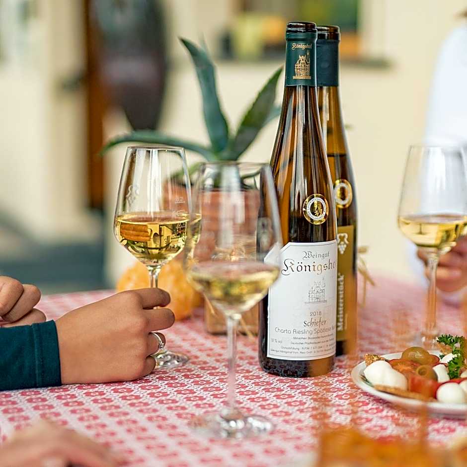 Baudobriga Rheinhotel