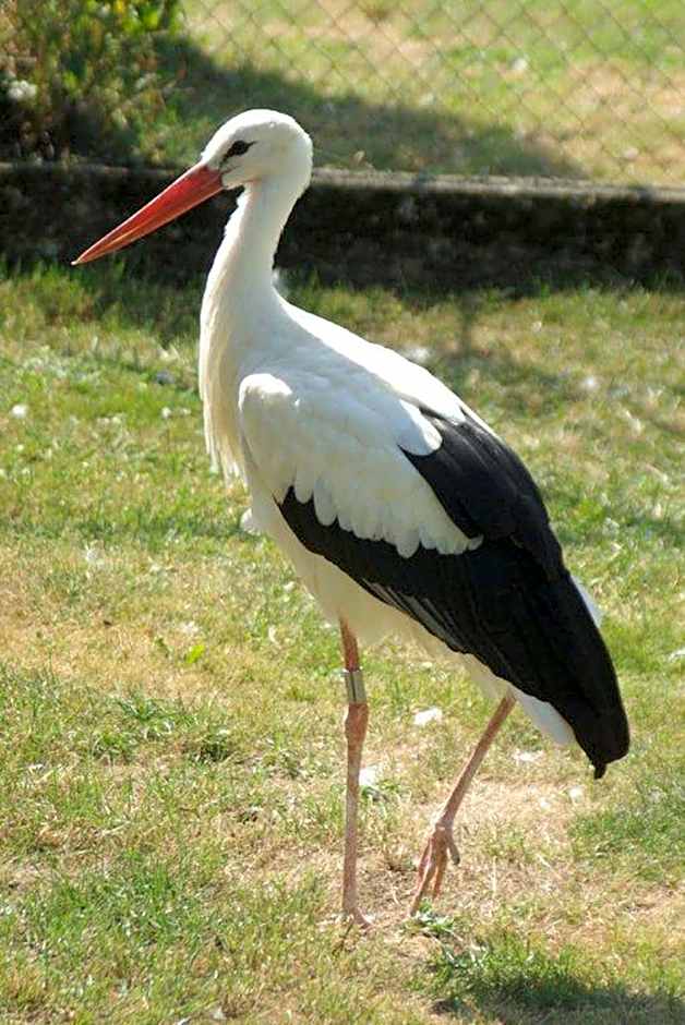 James Vignoble Hôtel, Eguisheim