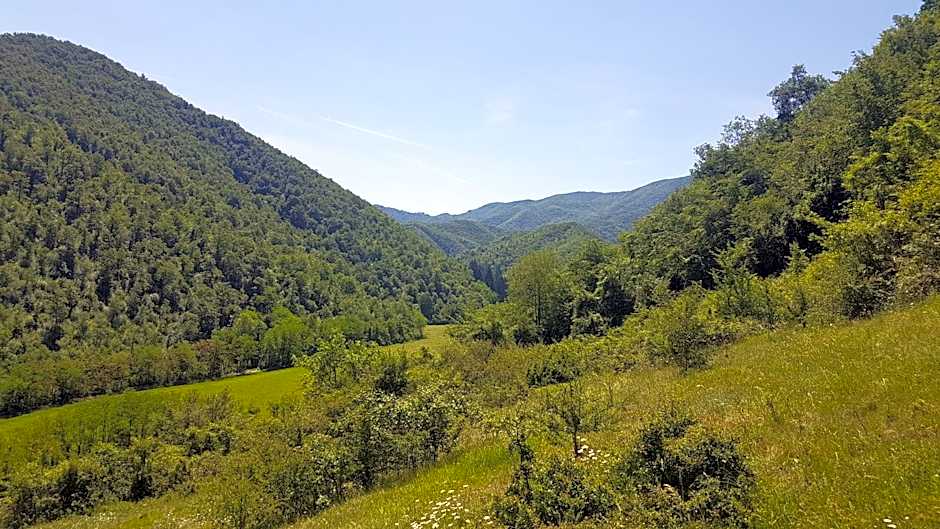 Locanda Di Alberi