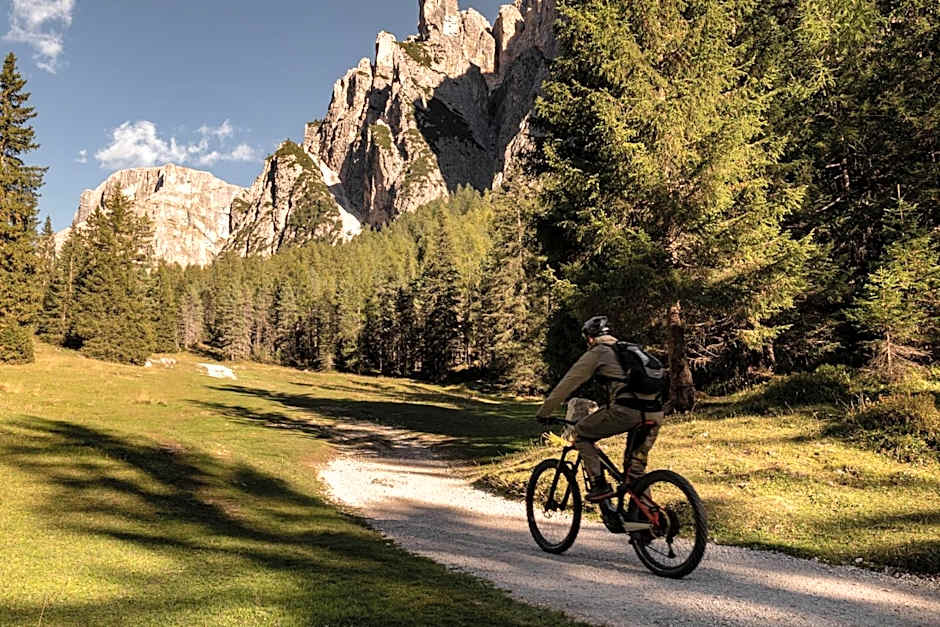 Hotel Gardena Grödnerhof
