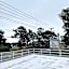 Heart of Manteo