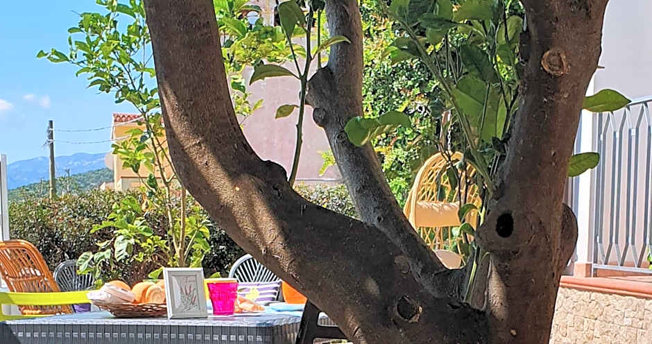 Affittacamere Le Ginestre