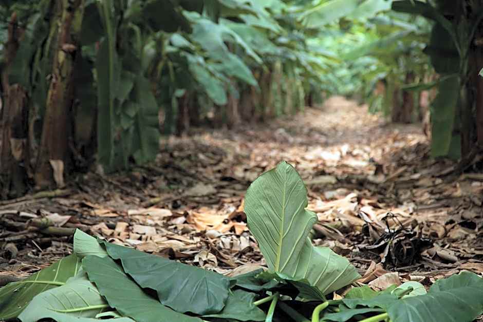 Maison Couturier, San Rafael, a Member of Design Hotels