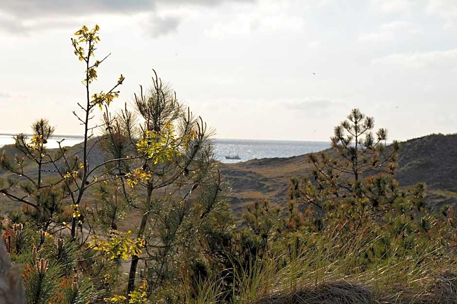 Strandhotel Camperduin