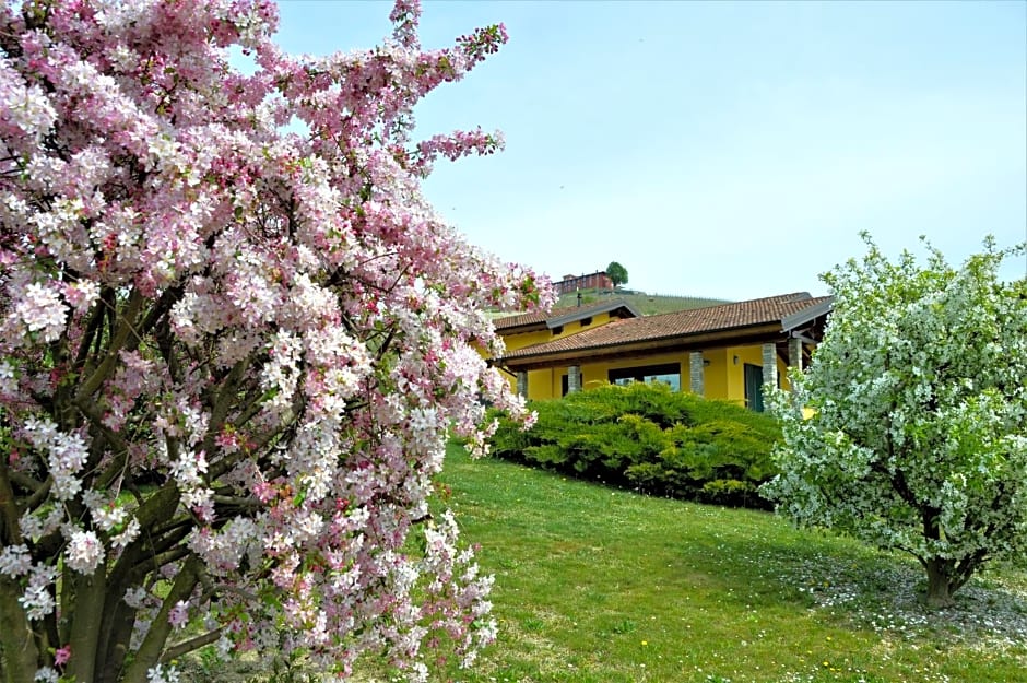 Il casotto nelle Langhe