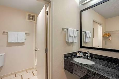 Standard King Room with Sofa Bed - Non Smoking