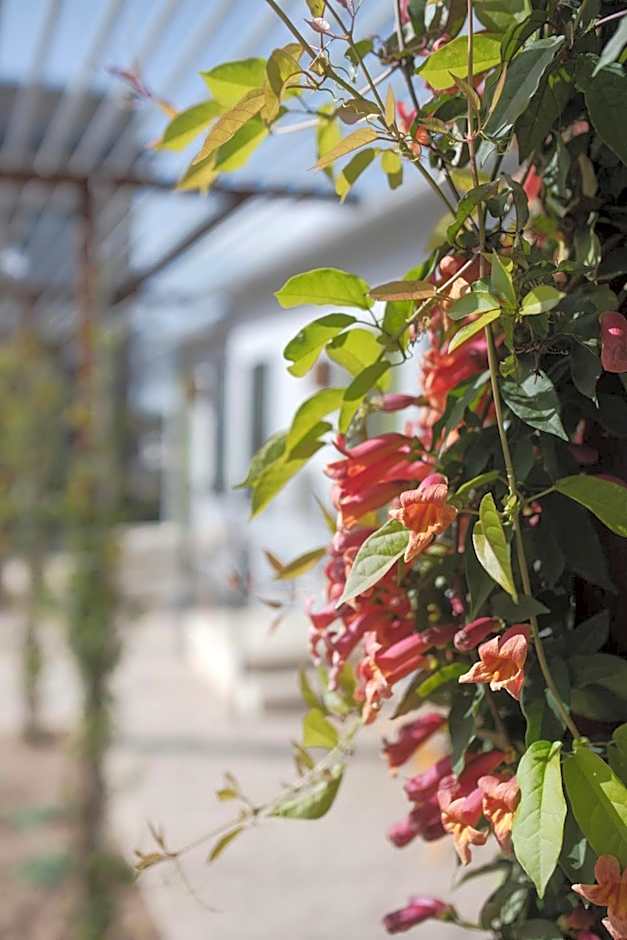 Talbot Commons Hotel