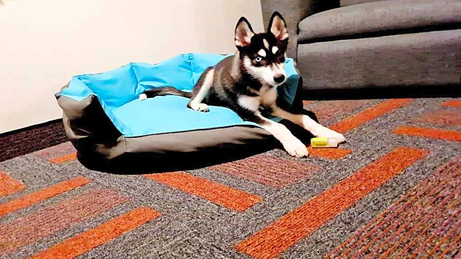 Holiday Inn Mexico Dali Airport By IHG