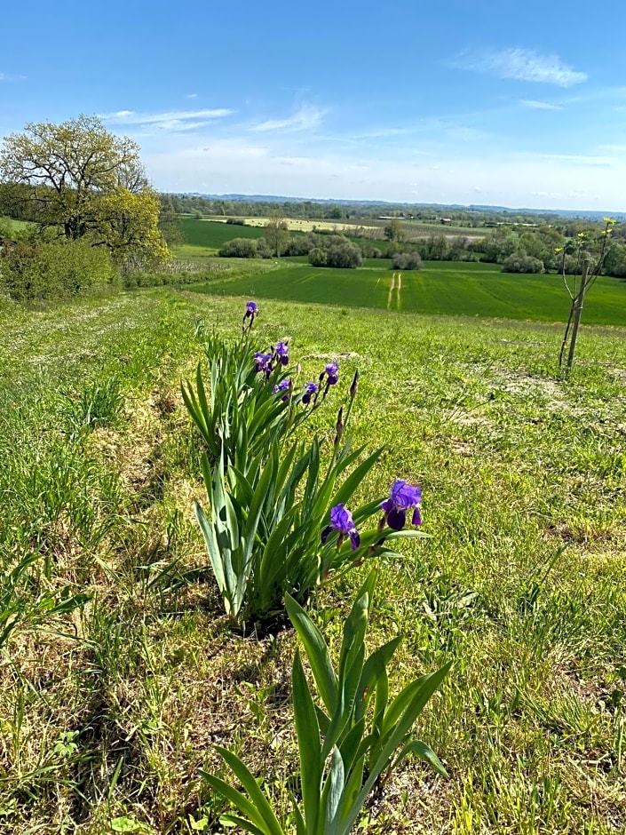 La Vignerie