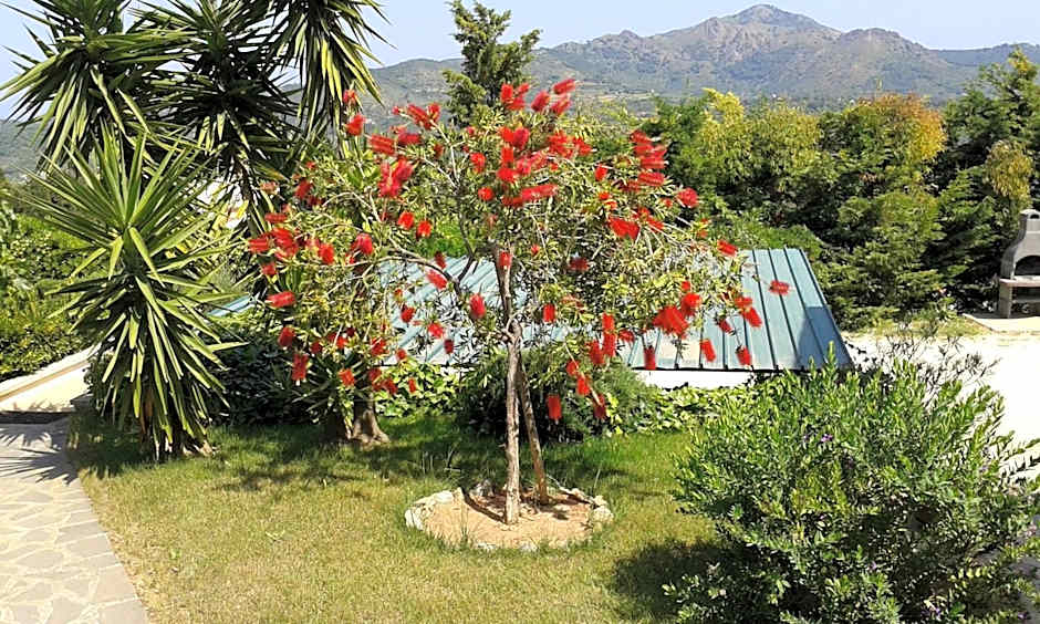 Apartment in villa 2 to 3 persons with large private garden