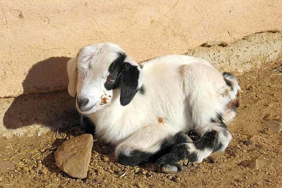 Casa El Tío Carrascón alojamiento rural