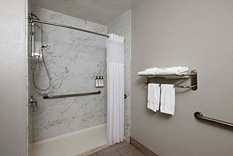 1 Queen Bed Accessible Room Non-Smoking