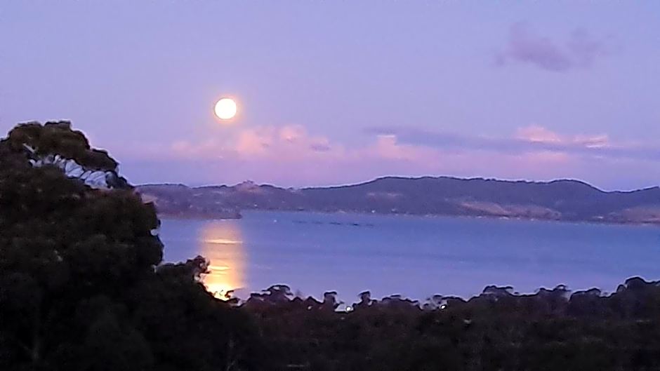 Waterview Gardens B&B