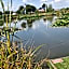 Herons Mead Touring Park and Fishing Lakes - Plot 18