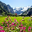 Hotel Waldegg - Adults only