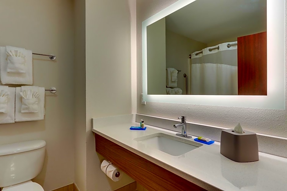 Holiday Inn Express Hotel & Suites Dayton-Centerville By IHG