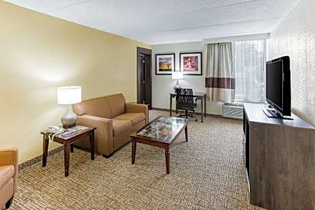 1 Queen Bed, Suite, Nonsmoking