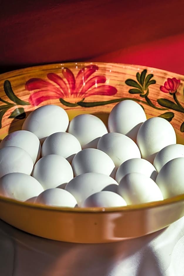 Monte Carlo Inn & Suites Downtown Markham