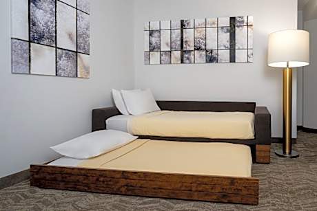 Queen Suite with Sofa Bed and Roll-in Shower - Mobility and Hearing Accessible