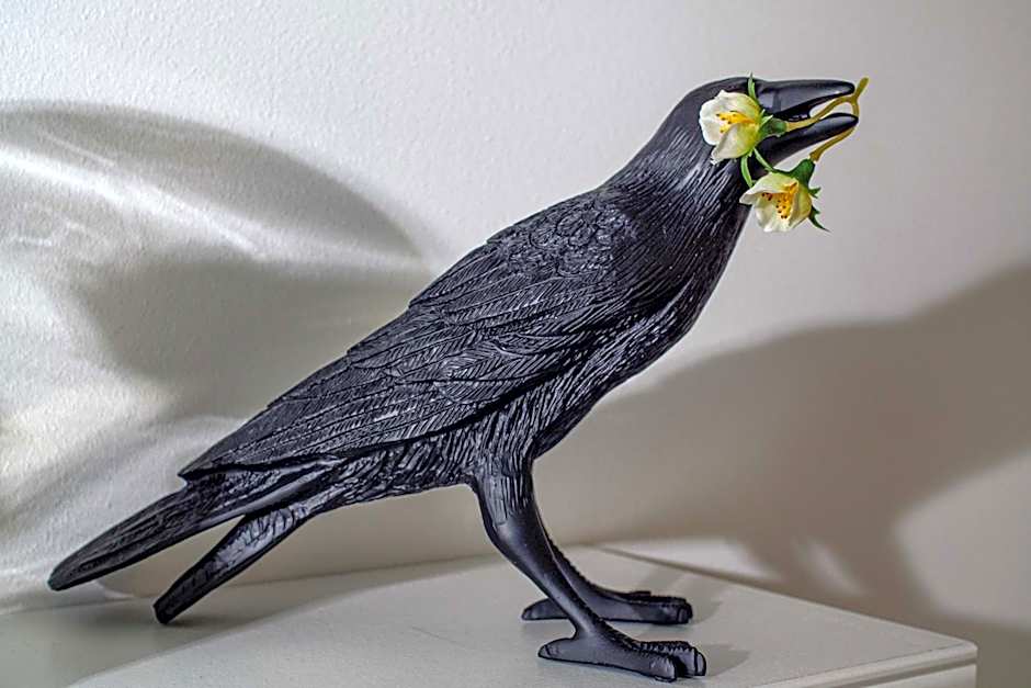 Pine House - Faro Airport, Beach and City Center