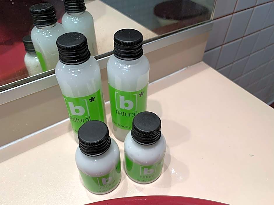 Picardy Hotel-Gare du Nord