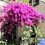 Relais Sassetti