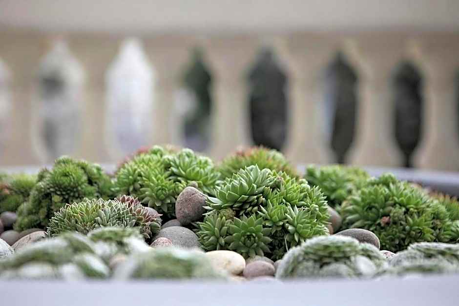 Signature Townhouse London Hyde Park