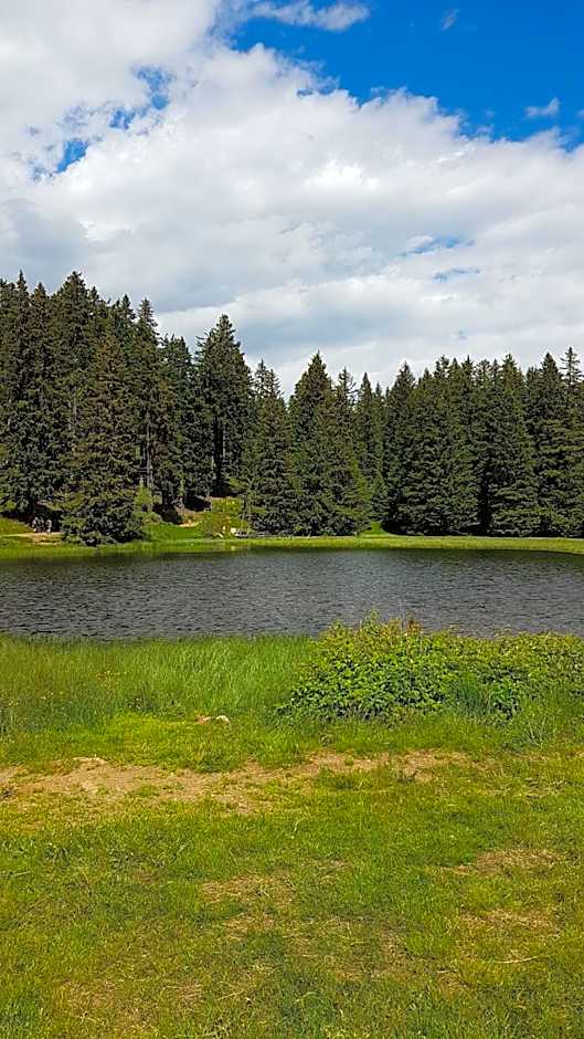 Bed&Breakfast Pension Hilpold