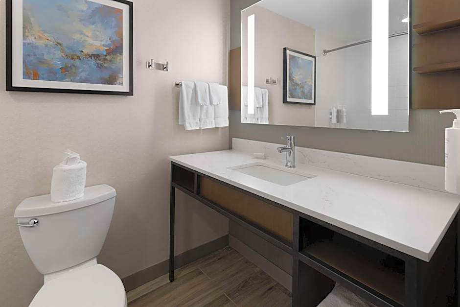 Hilton Garden Inn Winston-Salem/Hanes Mall