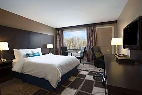 1 King Bed Non-Smoking