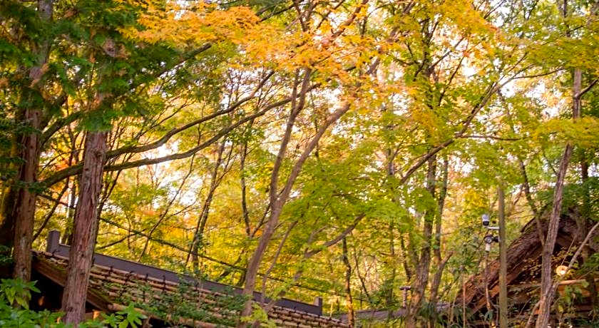Oyado Noshiyu Onsen Ryokan