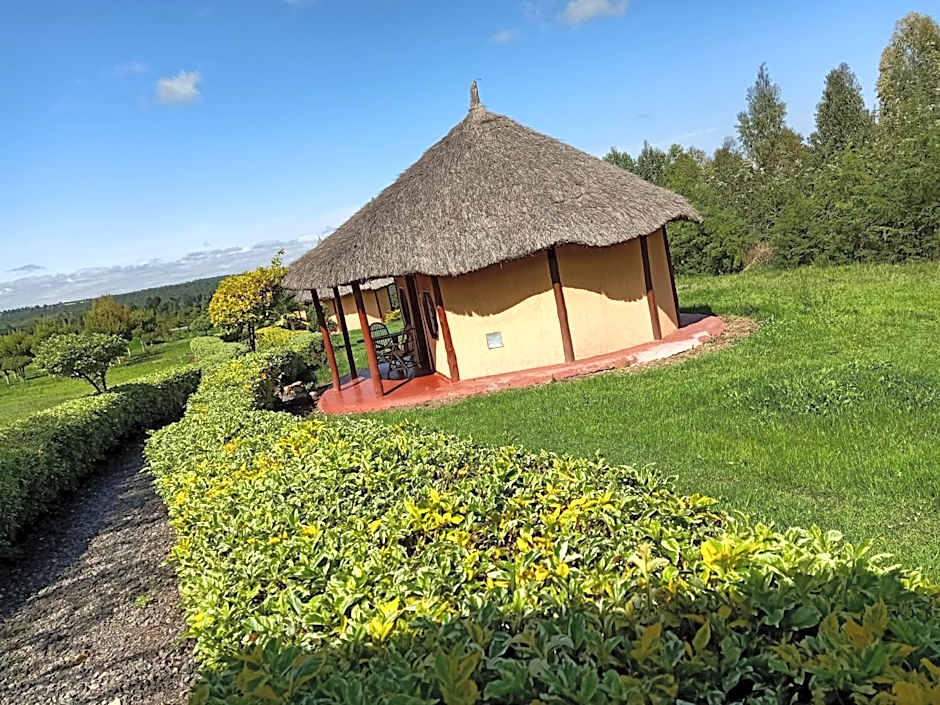 The Great Circle Lodge