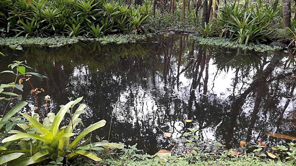 Pousada Chácara Pacheco