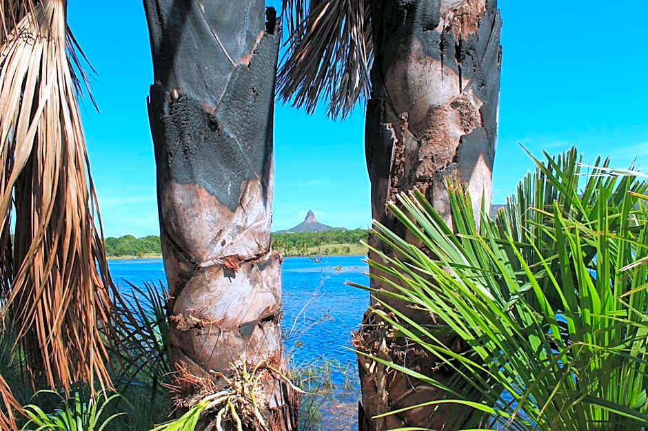 Pousada Sertão Veredas