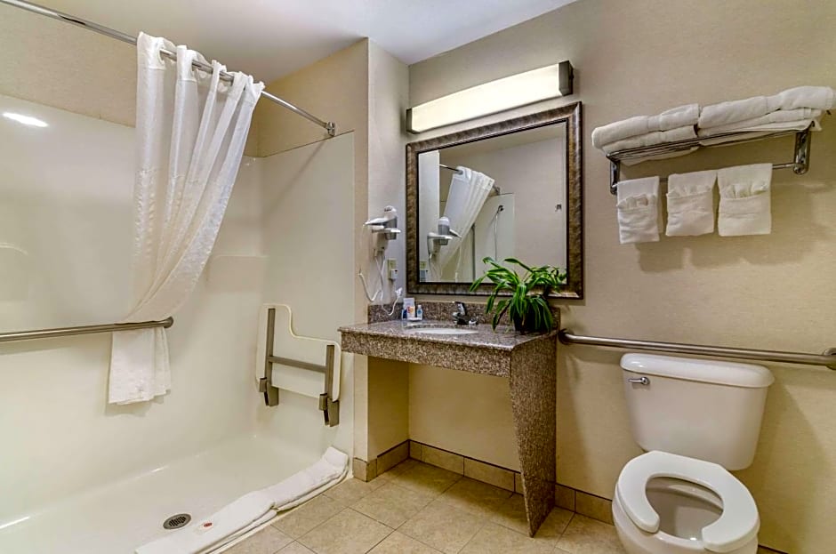 Comfort Inn & Suites near Bethel College