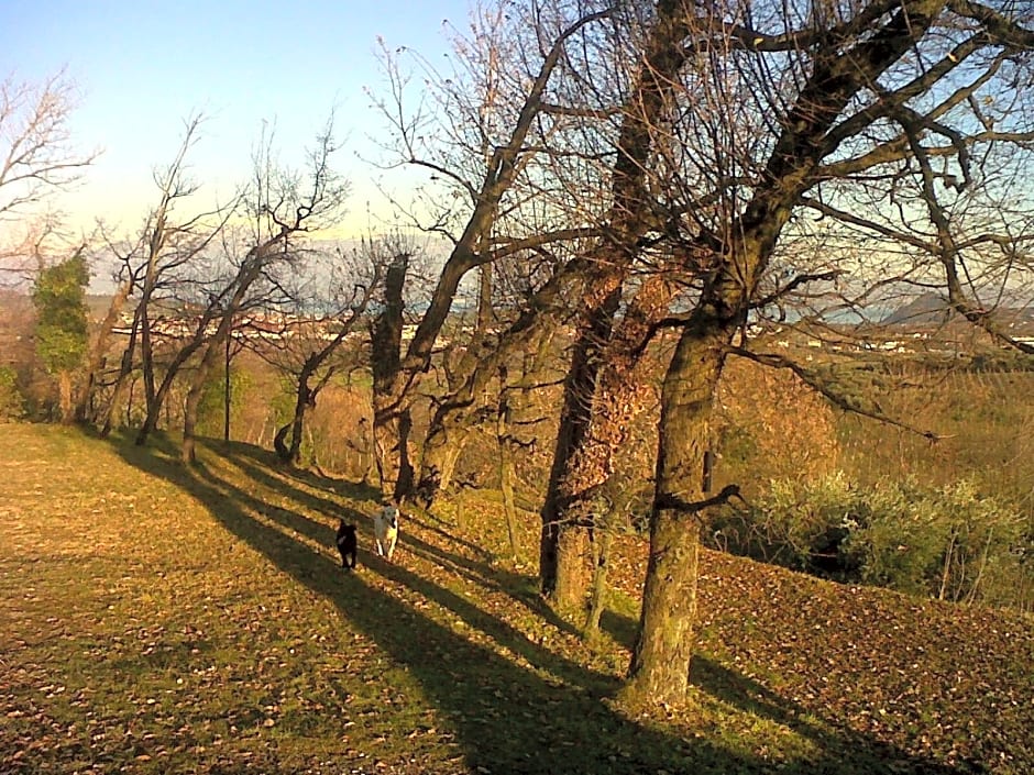 Bio B&B Vivere la Vita